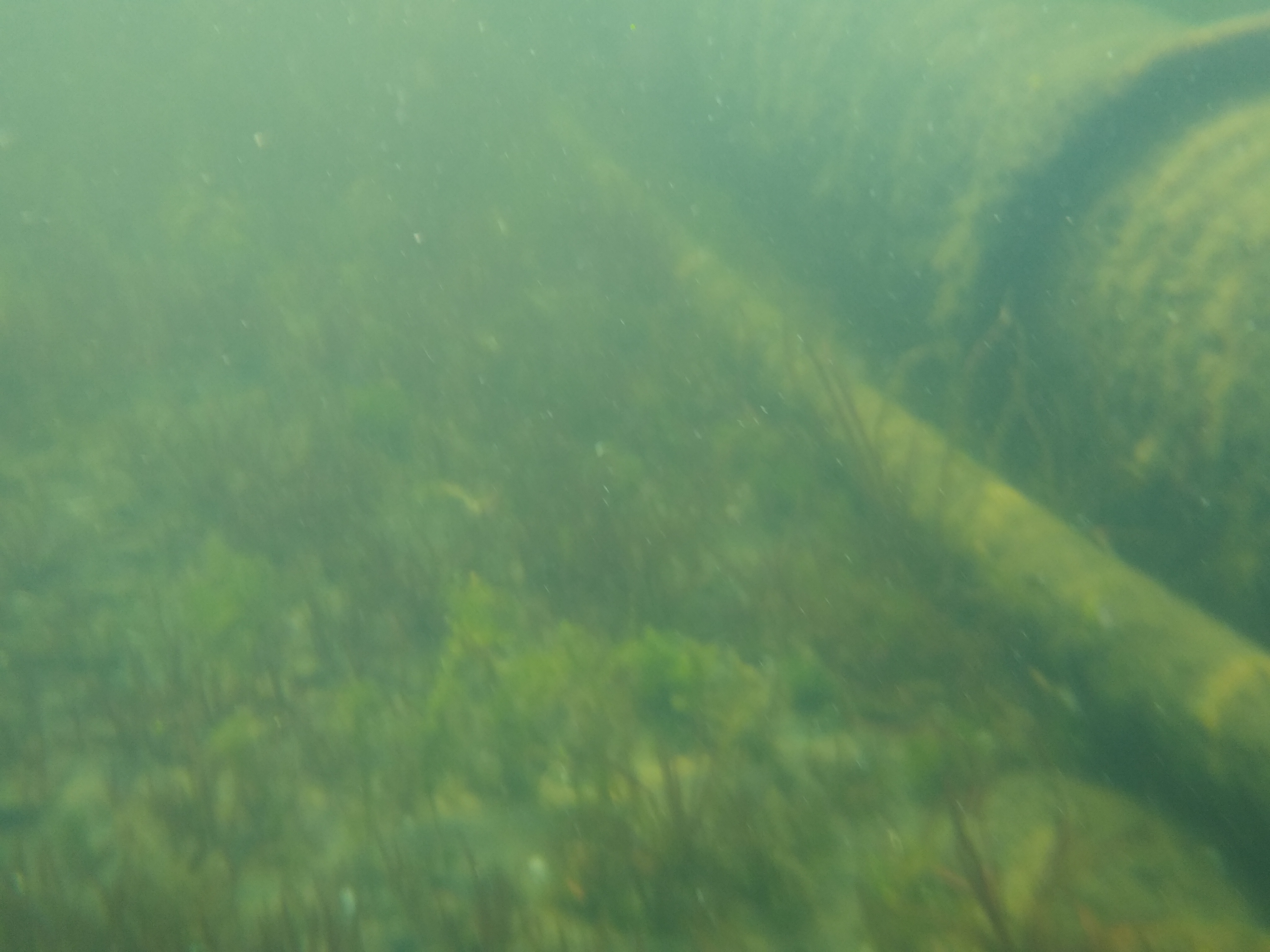 click to see larger image beach image